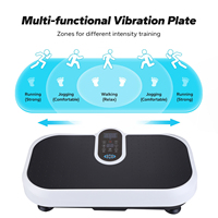 Plaque de vibration du corps entier Machine d'exercice Mini plaque de vibration Plate-forme de vibration d'exercice d'entraînement du corps