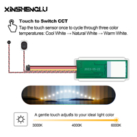 DC 5A 12V 60W CCT, variateur de lumière à mémoire de forme et commande vocale, capteur tactile intelligent IP21 en cuivre pour verre/miroir de 1 à 6 mm pour salle de bain