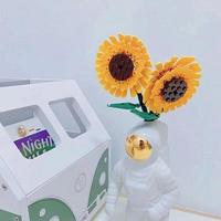 Juego de Bloques de Construcción de Flores DIY, Bloques de Construcción de Rosas Eternas, Regalo de San Valentín, Juguete de Plástico de Ensamblaje Creativo para Niños