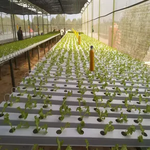 Fabrik günstigen Preis Vertikale Hydro ponik systeme Blattgrüner Salat Gemüse anbau Rack Vertikale Indoor-Landwirtschaft