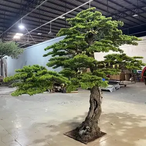 Spss21 Fonte Fábrica De Alta Qualidade Atacado Oem Odm Personalização Bonsai Árvores Pinheiro Artificial Para A Decoração De Casa