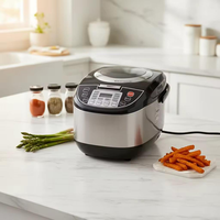Cuisinière à riz électrique intelligente numérique 5L avec boîtier en plastique et cuve intérieure antiadhésive pour camping-cars, hôtels, caravanes et voitures