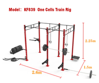 Support de fitness mural personnalisé de conception professionnelle pour entraînement croisé, équipement de traction pour corde