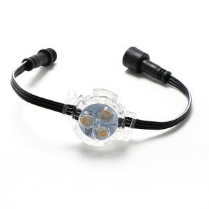 Ip68恒久的なクリスマス屋外家家の外壁<span class=keywords><strong>LED</strong></span>ポイントライトは2811 24vLedポイントライトでした - Product Image 6