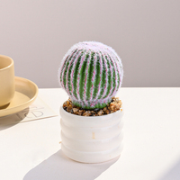 Plante artificielle en pot, cactus miniature de 25 cm, en soie, pour décoration intérieure, accessoire de photographie, fleur de mariage