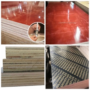 Cina lavorazione del legno di alta qualità legno duro eucalipto pellicola rivestita in compensato cassaforma in calcestruzzo - Product Image 4
