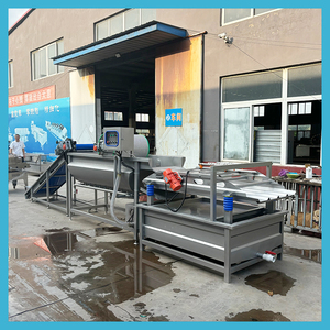 Macchina per la pulizia di frutta e verdura semiautomatica professionale multifunzionale/datteri/carne/pesce vortice - Product Image 4