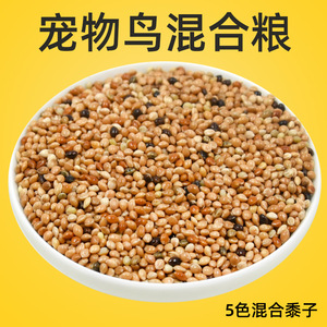 Nourriture pour oiseaux au millet mélangé cinq couleurs, 500g, pour petits et moyens perroquets, perruches, calopsittes, oiseaux pivoines - Product Image 5