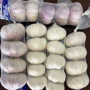 <span class=keywords><strong>Ail</strong></span> sauvage <span class=keywords><strong>violet</strong></span> frais de nouvelle culture chinoise 5.0cm 5.5cm Ajo Chino pour la nourriture populaire en Amérique du Sud avec un emballage en carton de 10kg - Product Image 2