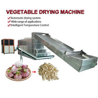 Ligne industrielle automatique de pelage, lavage, découpe et séchage de l'ail frais, usine de traitement et de déshydratation d'ail en tranches