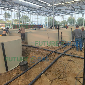 Étangs d'élevage de poissons marins en poly rotomoulé d'intérieur, équipement RAS, réservoirs d'élevage de crevettes d'eau douce - Product Image 4