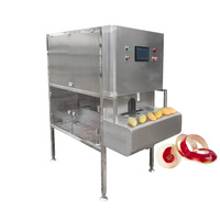 Elektrische Persimmon Ananas Mango Apple Dragon Fruit Tangerine Remover Uitboren Dunschiller Ananas Peeling Machine