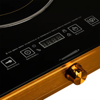 Cuisinière électrique en céramique à double brûleur 3000W, plaque chauffante de bureau, cuisinière portable pour camping-car, cuisine, camping