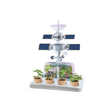 Serre de culture pour enfants, kit d'observation des plantes, jouet éducatif scientifique, kit de culture DIY, serre miniature