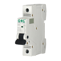 Interruptor Automático Miniatura (MCB) Monofásico/Bifásico de 220V CA 40A con Capacidad de Ruptura de 10KA