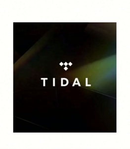 Tidal Premium แพ็กเกจเพลง Tidal 12 เดือน บัญชีสมาชิก Tidal Hifi Plus 1 ปี - Product Image 2