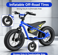 Moto électrique tout-terrain pour enfants 250W, moteur sans balais, 3 vitesses, amortisseur avant, pneus gonflables 16 pouces, plastique, 2-3 ans, unisexe, cadeau d'extérieur pour enfants