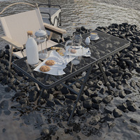 Table de camping grill pliant avec pieds antidérapants de bureau en maille, table d'extérieur en aluminium légère et portable réglable en hauteur