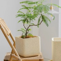 Carré Magnésium Boue Ciment Pot De Fleur Nordique Grand Diamètre Simple Carré Pot Dragon Sang Arbre Monstre Bambou Plante Verte