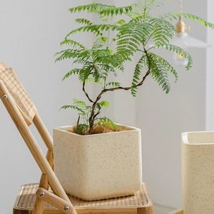 方镁泥水泥花盆北欧大直径简易方盆龙血树怪兽竹绿植物 - Product Image 4