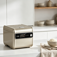 Autocuiseur intelligent à cuisson rapide, design élégant, commande vocale, cuve intérieure émaillée 3L, multifonctionnel, faible teneur en sucre, pour 3-5 personnes, directement de l'usine