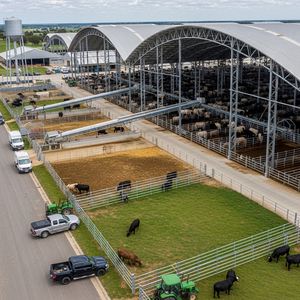 Atelier modulaire en structure métallique à assemblage rapide et bâtiment de ferme laitière en structure métallique agricole - Product Image 1