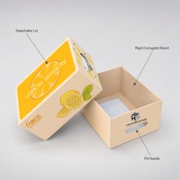 Boîte en carton ondulé pour fruits, réutilisable, empilable, robuste, ventilée, pour conserver les concombres, les tomates et les pommes de terre