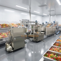 Automatische snoepdepositie-apparaat van roestvrij staal CANDY SGDQ300 voor het maken van gelatine- en pectine-snoep, eenvoudig te bedienen