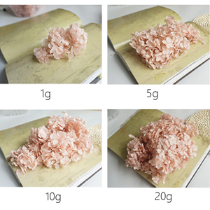 Ortensie Essiccate Naturali in Confezione da 10g, Fiori Secchi con Foglie Piccole per Decorazioni Fai-da-Te, Matrimoni e Coriandoli - Product Image 3