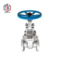 Tyco China Manufacturer Ansi Cast Steel Flanged Gate Valve