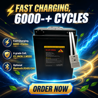 Lithium Solid State Battery 51.2V 80Ah 52Ah 100Ah-10 Electric Motorcycle LFP Battery Pack 6000 Cycles