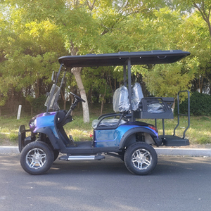 Carrito de Golf Eléctrico 4X4 en Oferta, Entrega Rápida, Económico, de 2/4/6/8 Plazas - Product Image 3