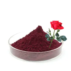 High Quality Rose Flower Extract Powder Rose Powder