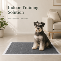 Tapis d'apprentissage de la propreté jetables en charbon de bambou à absorption rapide pour chiens, directement de l'usine