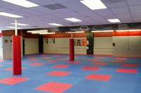 Hochdichte Judo- & Taekwondo-Puzzlematten für Fitnessstudios – Hochwertige EVA-Ringer-Tatami mit BJJ Gi