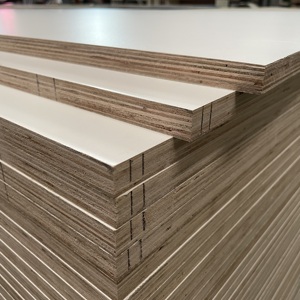 <span class=keywords><strong>Precio</strong></span> competitivo 4mm 5mm 6mm 9mm 18mm 4x8 pulgadas contrachapado multicapa laminado contrachapado de melamina blanca para gabinete - Product Image 5