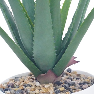 Faux mini plantas suculentas artificiales en maceta cactus falso aloe <span class=keywords><strong>vera</strong></span> Crassulaceae suculentas para jardín boda decoración del hogar Mesa - Product Image 4