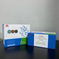 Kit de recherche ELISA pour la glycoprotéine humaine T-H, THP