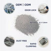 Litière pour chat en bentonite sans poussière, anti-bactérienne, à agglomération dure, sable pour chat en vrac, qualité export