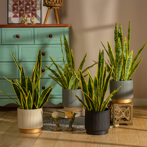 Planta Artificial <span class=keywords><strong>Sansevieria</strong></span> Hupilan <span class=keywords><strong>en</strong></span> Maceta, Bonsái Verde Biónico para Decoración de Sala de Estar - Product Image 1