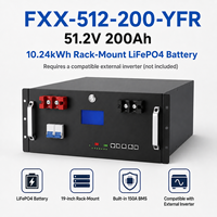 Batería de Litio para Almacenamiento de Energía Solar, Montaje en Rack, 51.2V 200Ah 10.24kWh, Paquete LiFePO4, Protección IP21, Soporta 16 Unidades en Paralelo