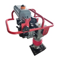 Compacteur à percussion thermique TN110 personnalisable (OEM) pour le compactage du sol, idéal pour la construction routière et les chantiers de terrassement étroit.