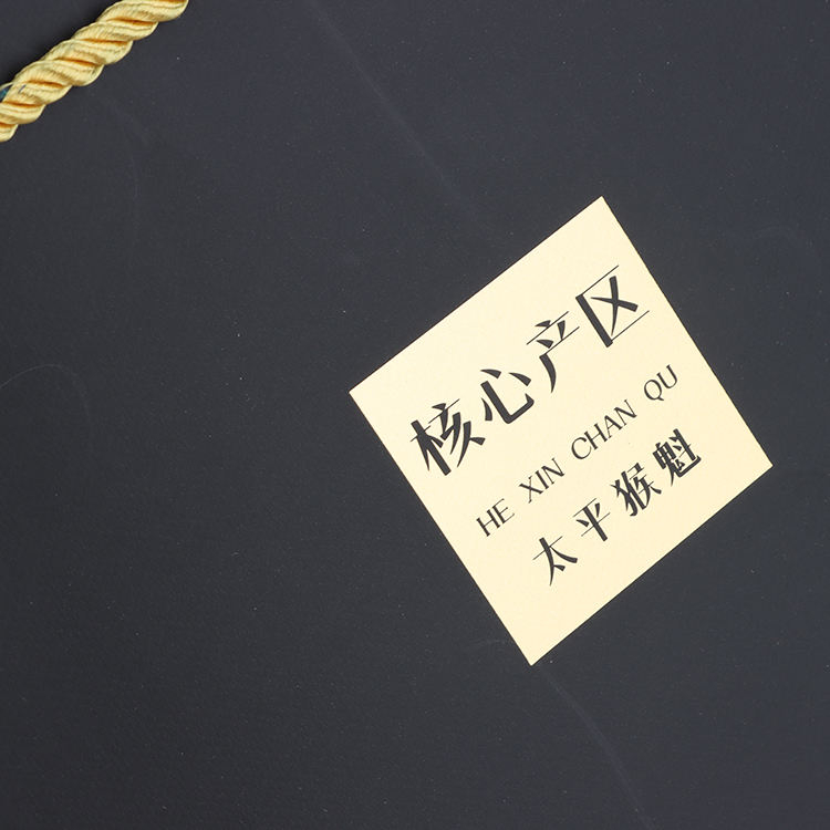 Large Capacity Customize Printed Logo Shopping Gift Packaging Kraft Paper Bag