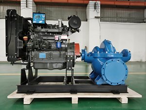 ปั๊มดูดสองทาง QS ประสิทธิภาพสูงสำหรับระบบประปาในเขตเทศบาล - Product Image 1