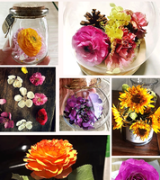 Diy Thuis Silicagel Ontvochtiger Vochtbestendige Plastic Flower Agent Fles Voor Gedroogde Bloemen Fruit Groente