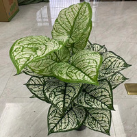Venta al por Mayor de Planta Artificial Decorativa de Plátano del Viajero en Maceta, 24 Cabezas, Verde, Sin Maceta