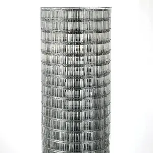 Cheap hot-dip galvanizing/PVC coated welded wire mesh used in bird/ rabbit/ little dog cages, welded wire fence mesh rolls