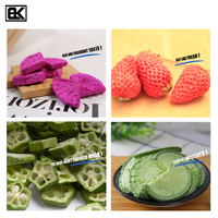 Tt 10Kg 15Kg 18Kg 20Kg Huishoudelijk Gebruik 220V Candy Gummy Groentefruit Zuivel Pet Food Vlees Vriesdroger Droogmachine