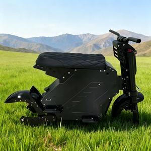 Pièces de rechange en gros pour trottinette électrique 2026 – Cadre de trottinette électrique pliable avec batterie amovible de 150 mm (taille ouverte) pour roues de 13/14 pouces - Product Image 1
