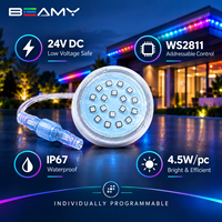 Lumière LED RGB adressable 24V DC WS2811/UCS1903 IP67 étanche pour l'éclairage architectural extérieur et des parcs à thème